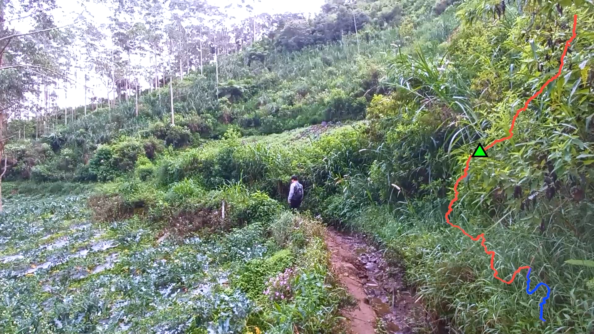 Pangparang1.mp4_000297000